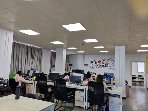 市市場監(jiān)管局江城分局強化電子商務技術服務監(jiān)管，護航線上經營秩序
