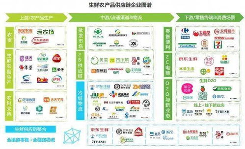 農產品供應鏈 阿里、京東、順豐、拼多多的布局與魔力經紀管理系統的核心作用
