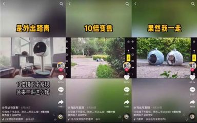 在抖音，如何借力「中能魔力」經紀管理系統，精準捧紅一只貓？